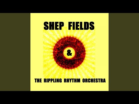 Cathedral In the Pines