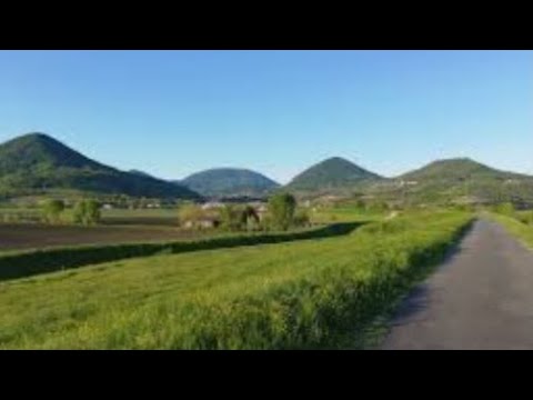 CINTO EUGANEO, Padova.