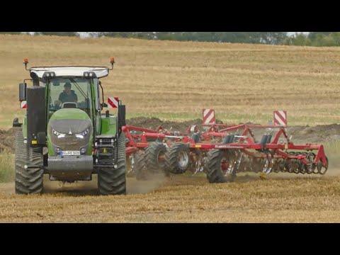 DER BÖSE BLICK VERRÄT NICHTS GUTES Getreideernte 2021 Claas Mähdrescher & Fendt MT Raupe im Einsatz