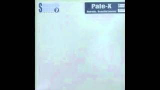 Pale-X - Beautiful Journey
