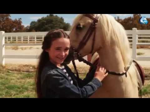 afbeelding Princess and the Pony