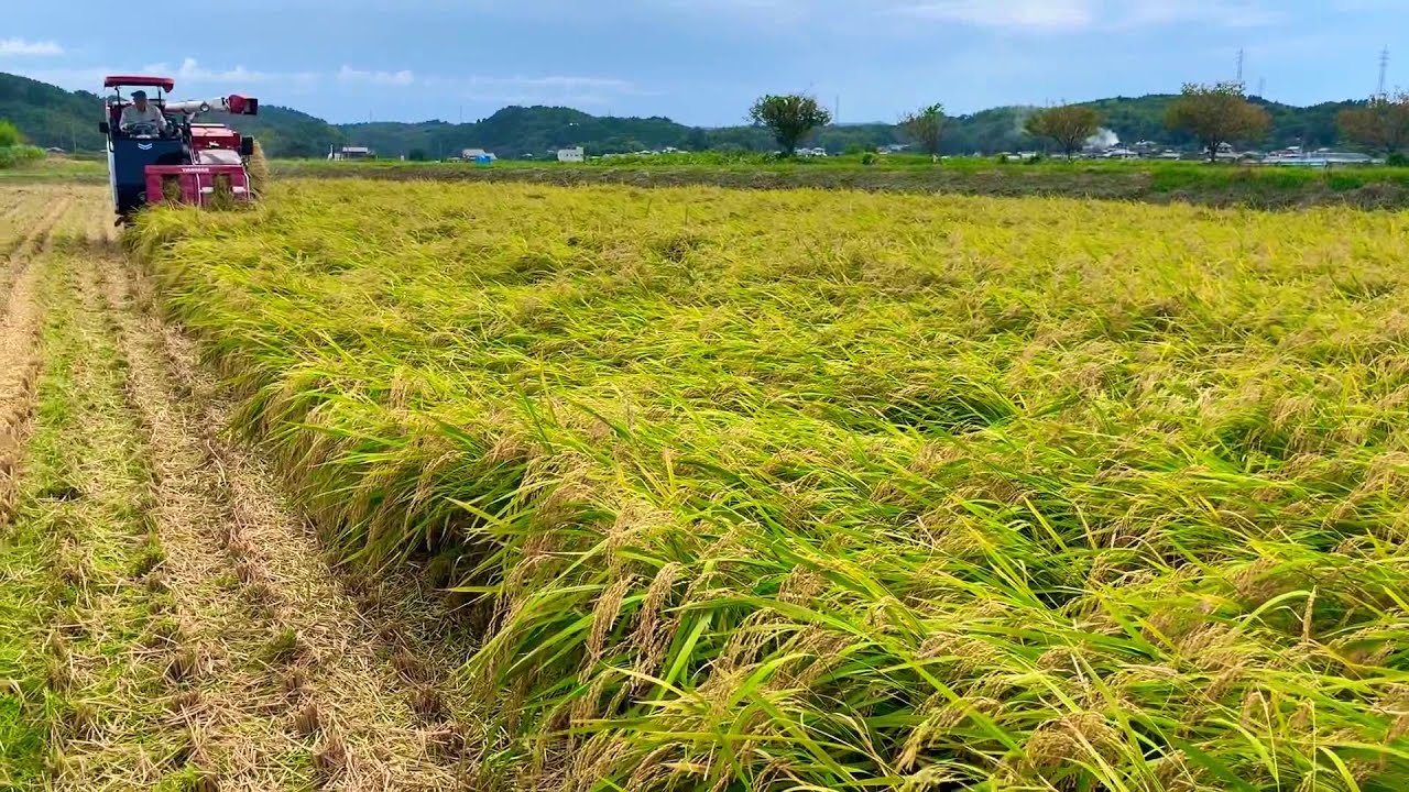 YANMAR YH462A JWU  Best match model