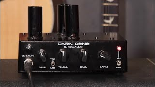 Video thumbnail for Handwired Dark Gene Red 1 watt tube amp by Phillip McKnight