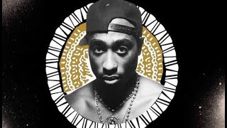 2Pac - Son Of A Panther (Nozzy-E Remix) (Prod By VINCI)