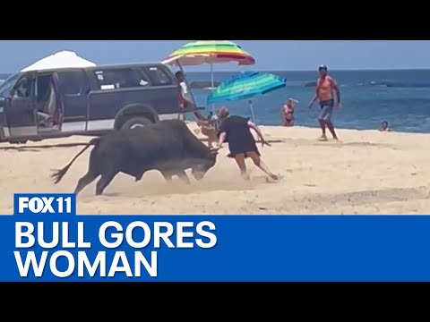 Bull attacks woman on Mexican beach near Cabo San Lucas