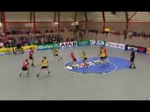 DOS '46-Dalto Korfbal 2008