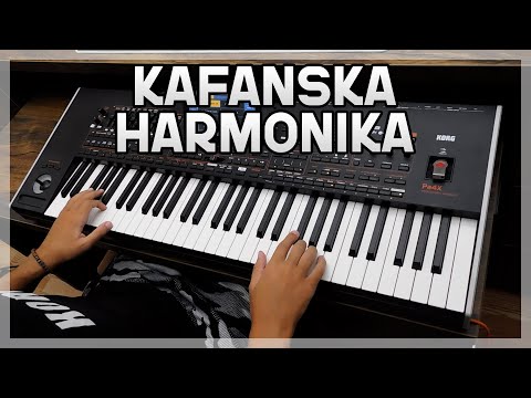 Kafanska Harmonika // MARKO MX - Begin I Merak - KORG Pa4x!