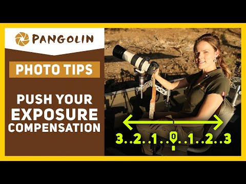 Exposure compensation for wildlife photography.