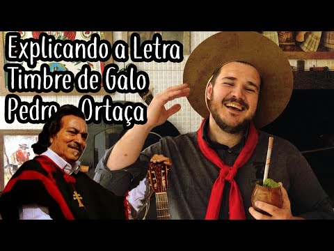 Explicando a Letra: Timbre de Galo - Linha Campeira #76