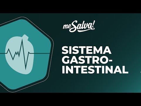 Sistema Gastrointestinal – Introdução  - Fisiologia - Me Salva! Saúde