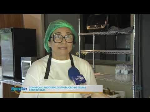 O Dia TV