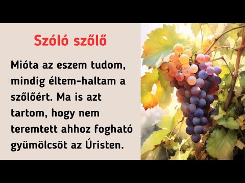 Learn Hungarian Through Stories | Hungarian Reading Practice