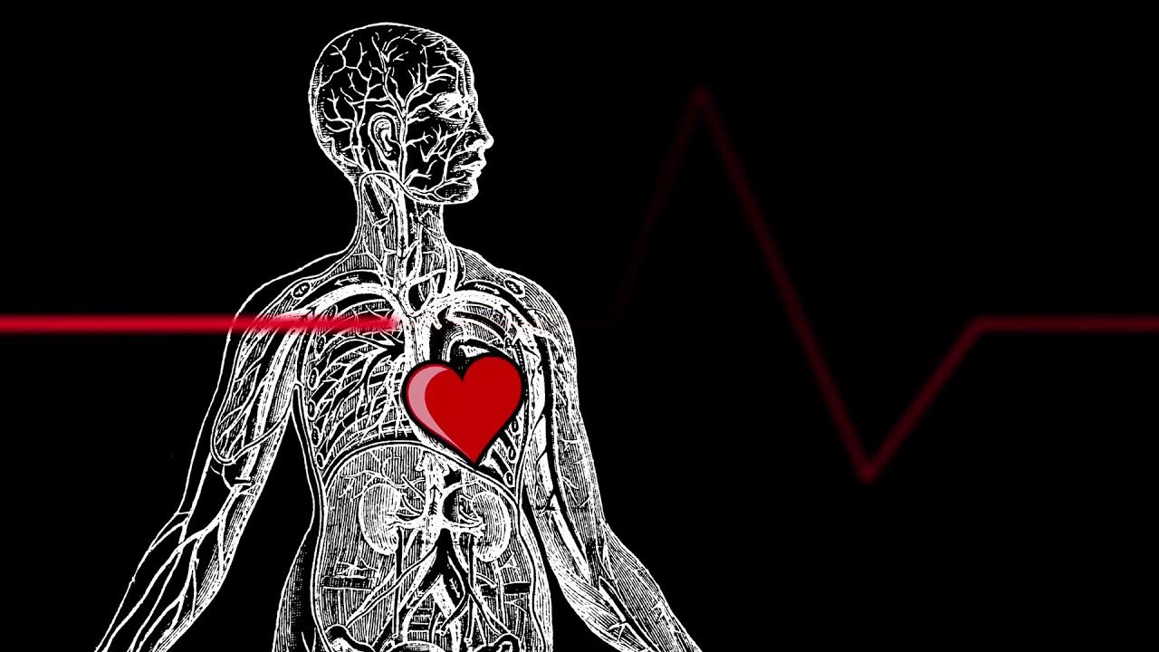 Royalty Free Heartbeat Animation Stock Video Footage