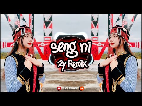 Seng Ni(Remix) // Tangpaw Ah Tu ( Tara ) // Zy Remix