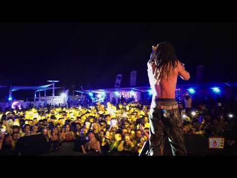 Hotboxed420 - Plugnation Festival 01 - Nafe Smallz Live 4K