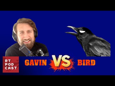 Gavin vs The Bird - Ep. #593 - RT Podcast