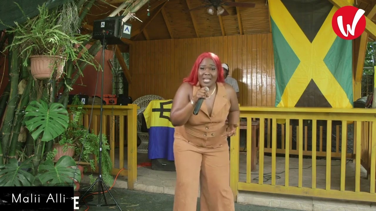 Vibe Check: Malii Alli's 'Good Ol Days'