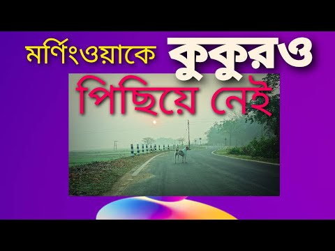 মর্ণিংওয়াকে কুকুরদের পারফরম্যান্স দেখুন