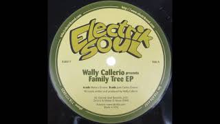 Wally Callerio - Maria's Groove