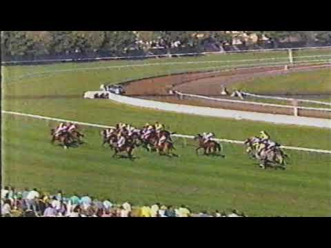 1987 ATC RANDWICK George Main Stakes