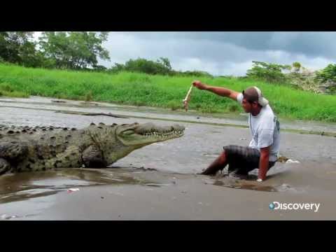 How Not To Feed A Crocodile - You Have Been Warned S2 Ep5