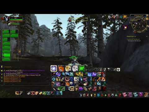 Change appearance but always great damage - WoW hunter bm PvP