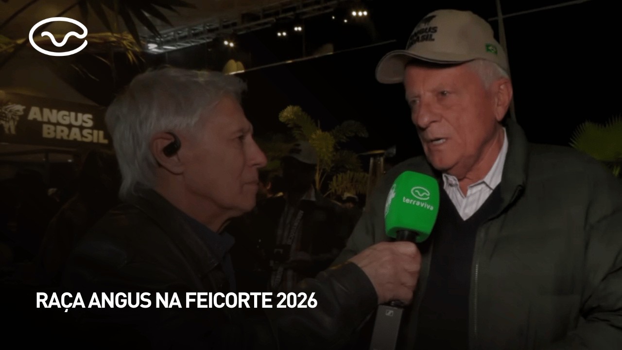 Raça Angus na Feicorte 2026