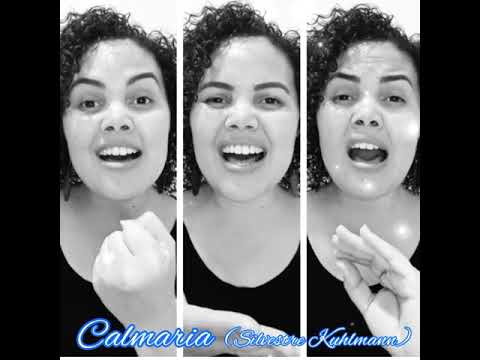 Calmaria - Silvestre Kuhlmann