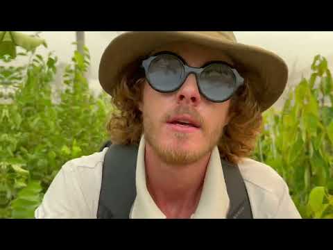 FBTR - Benji D Mc [music video]