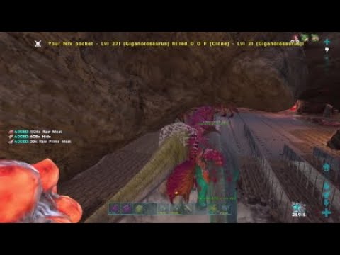 Meatruning and raiding  a stupid fat SpiderCave 200 Cryo tames ARK PS4 #DOOM  #KINGS #UNREAL #ACID