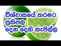 විශ්වාසයේ තරමට ප්‍රතිපල දෙන දෙහි කැප�