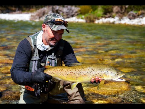 BIG Browns under BLUE skies. Fly fishing New Zealand.