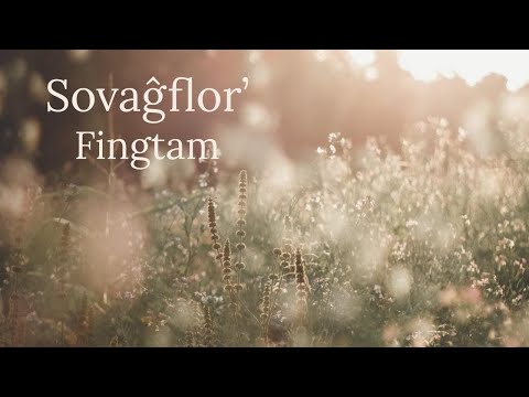 Sovaĝflor' (Originala kanto)
