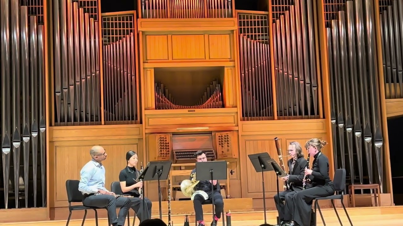 Promotional video thumbnail 1 for Bassoonist