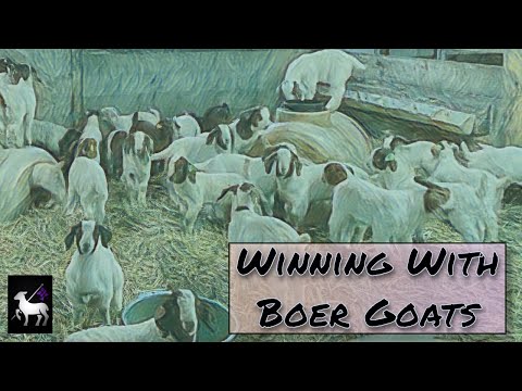 , title : 'Raising Champion Boer Goats:  Larry Lorenz Interview'