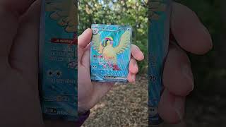 A wild Pidgeot! #pokemon #packs #goodmorning #nature
