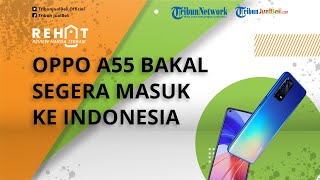 REHAT: Bakal Segera Masuk ke Indonesia, Intip Bocoran Spesifikasi Oppo A55, Dibekali 50 MP AI Camera