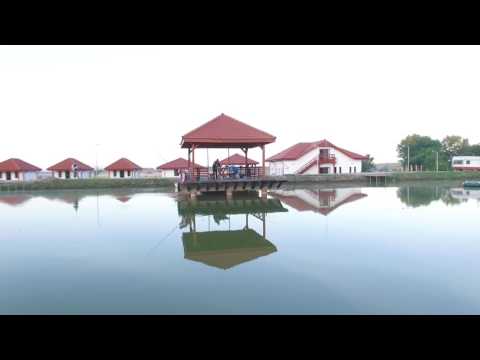 Balta lui Pastorel prezentare