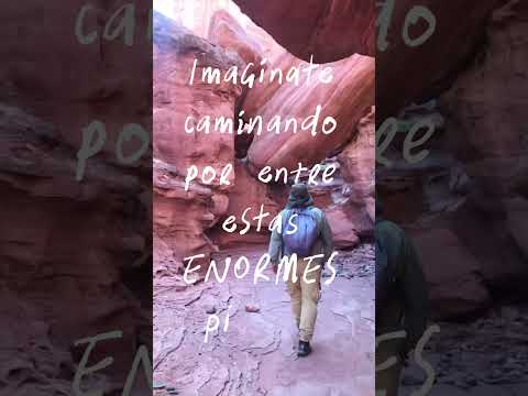 Parque Nacional Talampaya en La Rioja