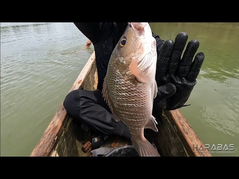 EP674-P1 - Panghuhuli ng Isda Gamit ang Kitang | Occ. Mindoro