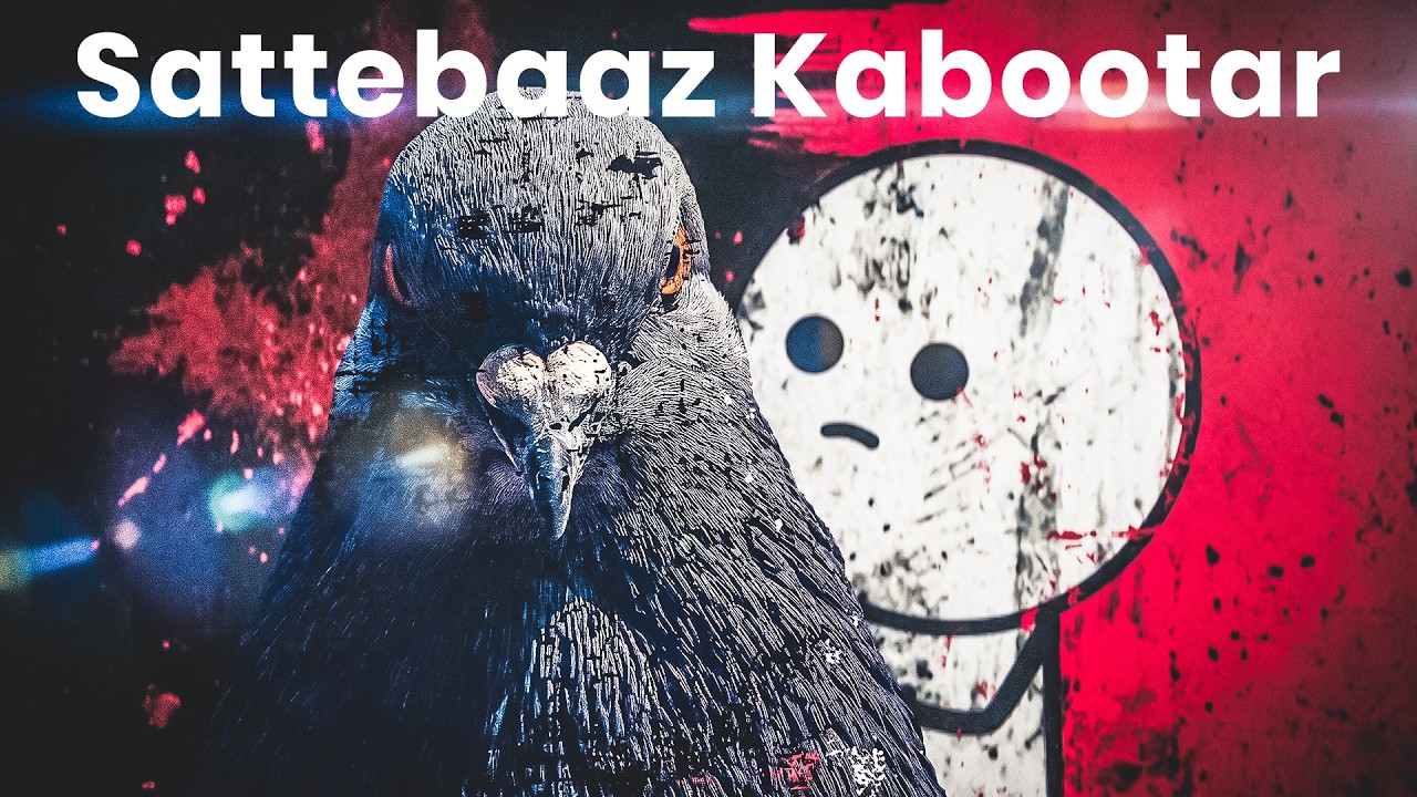 Why Do Pigeons Love Gambling?