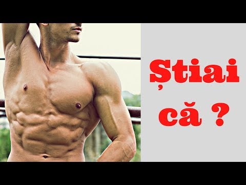 o erecție depinde de nutriție