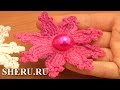 Crochet 8-Petal Flower Pattern Урок 79 Нежный цветок на ...