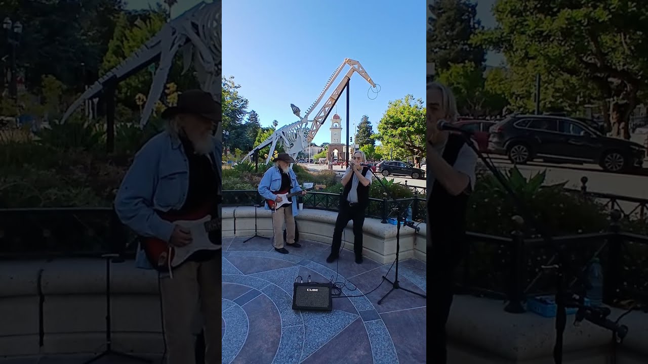 Video of Cruz Bluz performing J.J. Cale classic "Sensitive Kind"