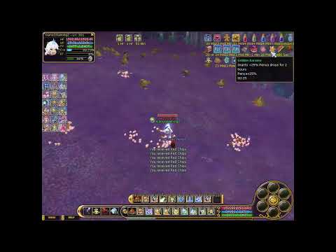 FLYFF INSANITY QUICK FARMING PERIN WITH ARCHANIST