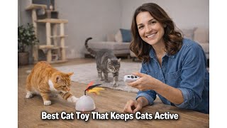 🐱 metiya Interactive Cat Toys Ball Fast Rolling in Cat Tunnel Review: Does It Entertain Cats? 🐾