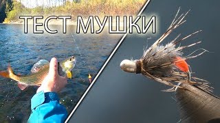 Ссылка
