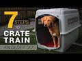 How To Crate Train An Older Dog Gentle Step By Step Method