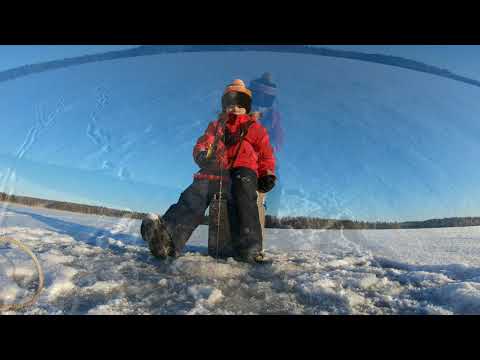 PILKKIREISSU RENKAJÄRVELLE🎣