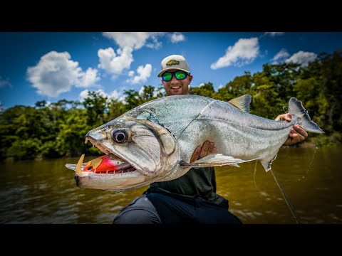 Catching Massive Vampire Fish in the Amazon Jungle!